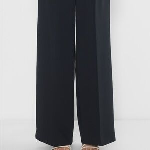 Aritzia Effortless wide leg/high rise/short inseam